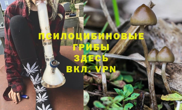 ПСИЛОЦИБИНОВЫЕ ГРИБЫ Абаза