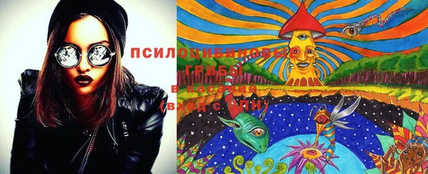 ГАЛЛЮЦИНОГЕННЫЕ ГРИБЫ Абдулино