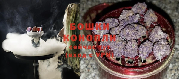 ПСИЛОЦИБИНОВЫЕ ГРИБЫ Абаза